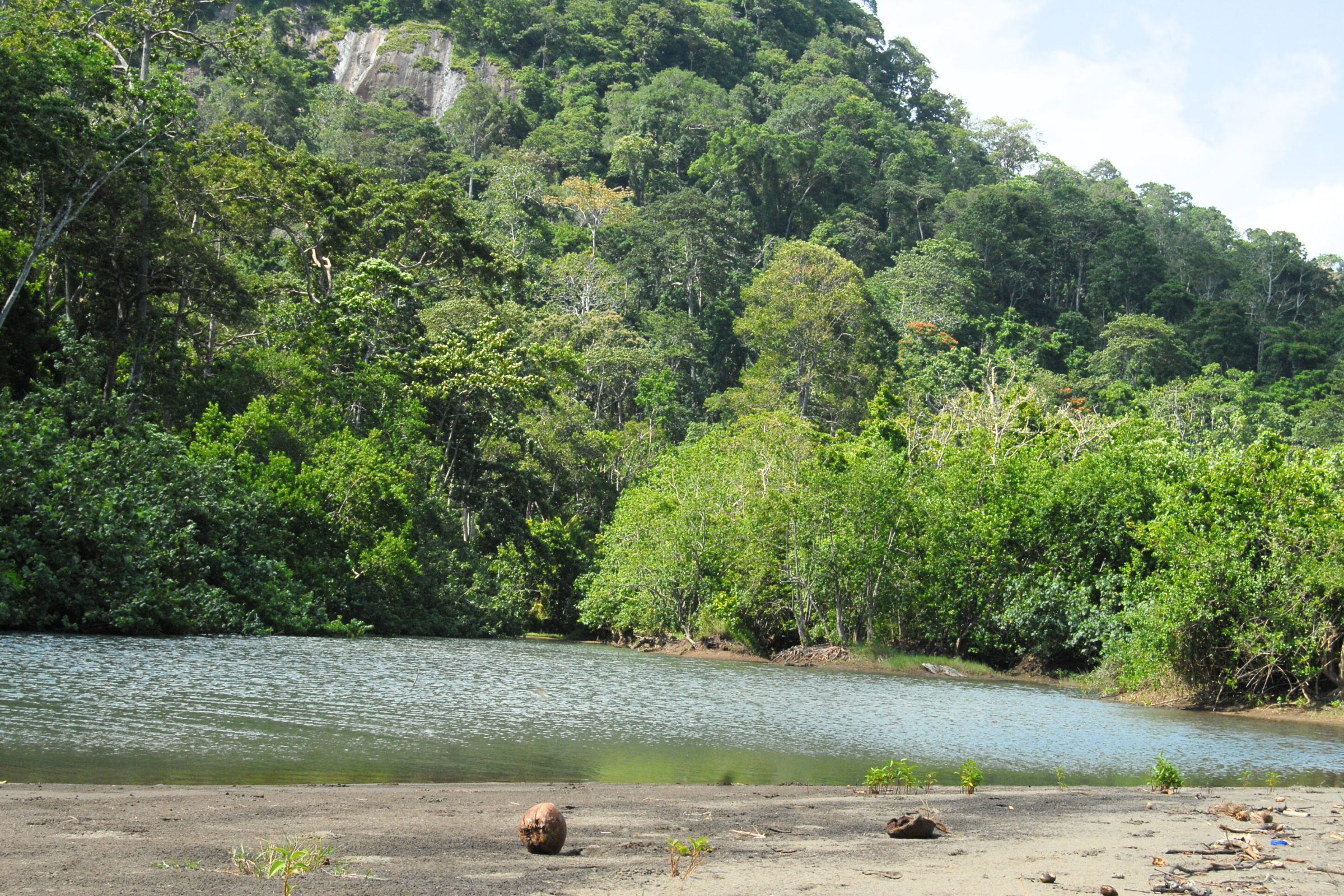 41_Meru_Betiri_National_Park[1].webp